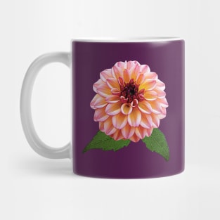 Dahlia Foxy Lady Mug